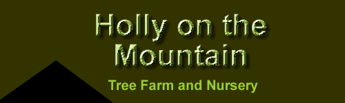 Holly on the Mountain Tree Farm logo